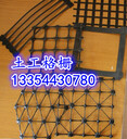 工地施工土工格柵