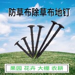 防草布合作社推廣除草效果顯著圖片2