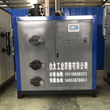 蒸汽发生器环保图片