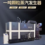 鼎大工业蒸汽发生器,上海生物质蒸汽锅炉安装图片0