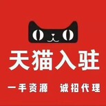 TM标可以入驻天猫吗图片0