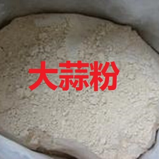 食品级大蒜粉生产厂家大蒜粉报价