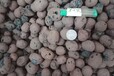 达州陶粒1-30MM卫生间回填陶粒达州页岩陶粒达州建筑陶粒