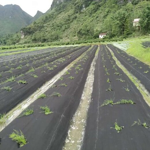 花卉防草布价格计算,除草布