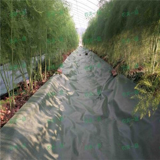 正宇農(nóng)業(yè)地布,黑色防草布款式