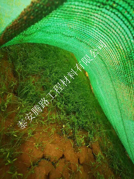 高速边坡覆绿三维土工植草网三维土工网垫价格
