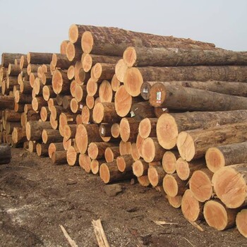 俄罗斯木材（松木进口流程国外林场要什么材料