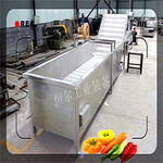 蔬菜粗加工设备-大型厨房用蔬菜清洗设备