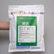 山东宝来利来输卵管炎威伏宝来利来微生态蛋禽宝来利来官网图片