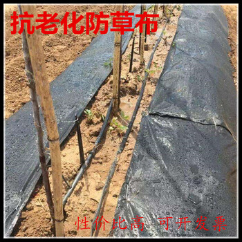 现货供应果园防草布大棚除草布园艺地布