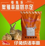 想要种兔预混料？母兔营养补充剂厂母兔营养补充剂批发就用英美尔！