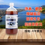 水产EM原液水产养殖益生菌快速肥水净水抗病增产EM原露