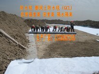 郑州哪里卖钠基膨润土土工垫防水毯图片3