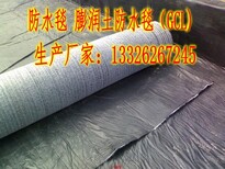 钠基膨润土防水毯价格-膨润土防水毯多少钱图片4