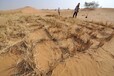  Special soil binder for desert control in Akesu, Xinjiang Soil stabilizer