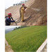 山东青岛矿山修复专用土壤团粒剂土壤团粒剂团粒改良剂
