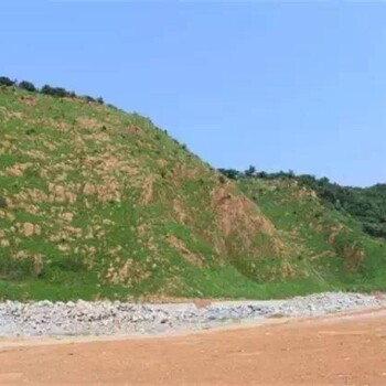 吉林通化客土喷播边坡绿化土壤团粒剂生态修复