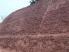  Special soil granule for mine restoration in Suqian, Jiangsu Province Soil stabilizer
