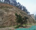 贵州贵阳护坡喷播专用土壤团粒剂土壤稳定剂