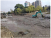  Ecological restoration and soil improvement of returning farmland to forest in Xi'an, Shaanxi