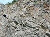 江西吉安矿山修复喷播绿化法国爱森土壤粘合剂土壤改良剂