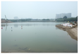 上海底質改良劑黑臭水體河道底泥生態修復工程底泥改良劑