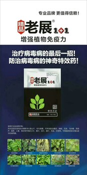 番茄辣椒煙草病毒病治療型產(chǎn)品老展1+1