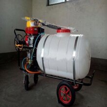 汽油喷雾器手推式打药机果园大棚打药机大容量杀虫喷雾机械图片