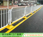 湛江地标图案市政护栏生产厂家道路中间防护栏美观易安装