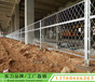 汕头公路护栏网规格钢板网护栏隔离栅绿化带围栏边框护栏