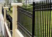阳江护栏价格锌钢围墙栏杆图片厂区三横杆铁栅栏安装
