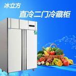 冰立方二门冷藏冰箱RX2双大门直冷冷藏柜两门冷藏保鲜柜