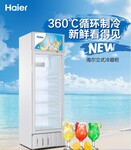 Haier海尔商用展示柜海尔饮料柜SC-340海尔商用立式冷藏柜单门保鲜柜饮料陈列柜