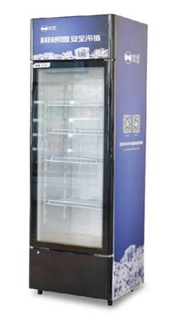 凯雪单门饮料柜KX-278凯雪商用饮料冷藏柜凯雪展示柜保鲜柜饮料乳品陈列柜