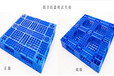 广安市川字田字塑料托盘货物防潮板批发