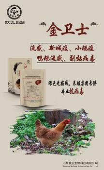 鸡新城疫的症状，鸡新城疫用什么药，鸡新城疫引起瘫痪