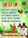 鸡球虫病预防和治疗，鸡小肠球虫过料，鸡盲肠球虫拉血便