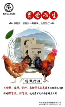 鸡挑料流口水咋回事，咋治不复发