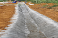 红河水泥毯厂家供应浇水固化水泥毯护坡