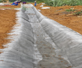 紅河水泥毯廠家供應澆水固化水泥毯護坡