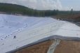 惠州复合排水网厂家供应6mm三维复合土工网垫