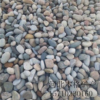 變壓器鵝卵石污水處理鵝卵石園林造景鵝卵石