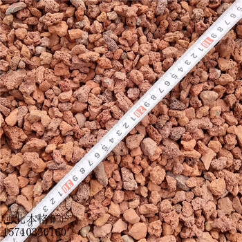 陽泉多肉火山石廠家