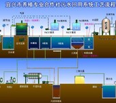 牛蛙养殖废水处理设备/养猪废水处理设备厂家