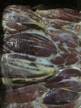 菏泽心管牛上脑牛舌牛尾牛百叶骨髓牛仔骨萨拉伯尔批发图片
