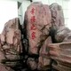 南京水泥假山工程现场图