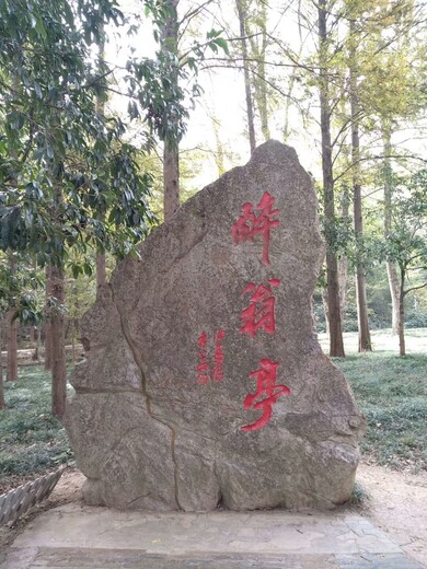 苏州公园公司大门塑石刻字景观石,水泥刻字石制作施工