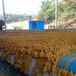 供应福建厦门洗砂环保污泥处理设备泥浆带式压滤机图片