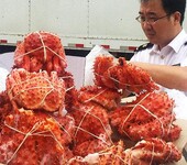 青岛港进口梭子蟹需要需要哪些手续和单证？