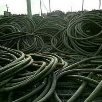 长宁电缆回收（润鼎）电缆回收价格高厂家